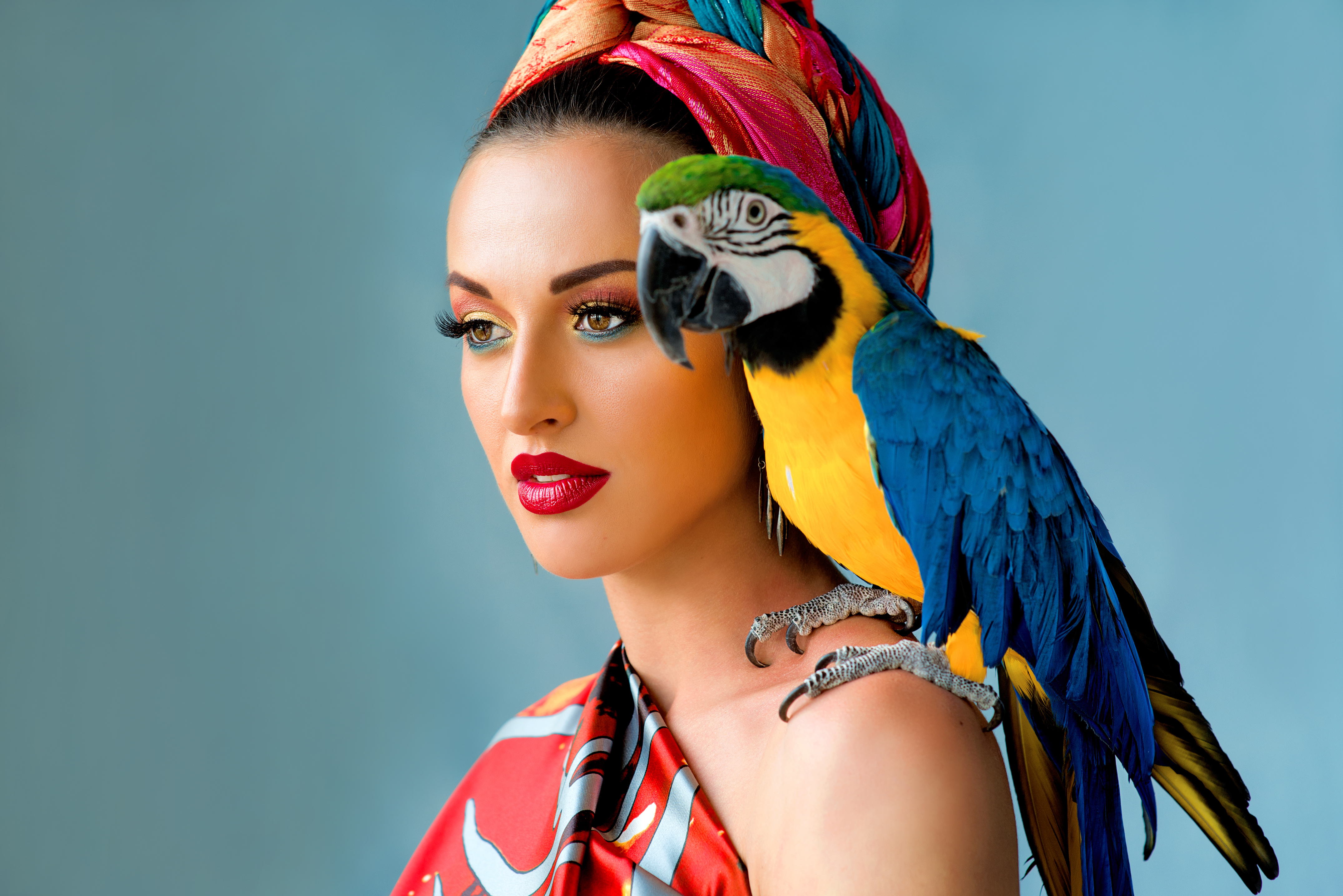 Ara – papuga dla koneserów