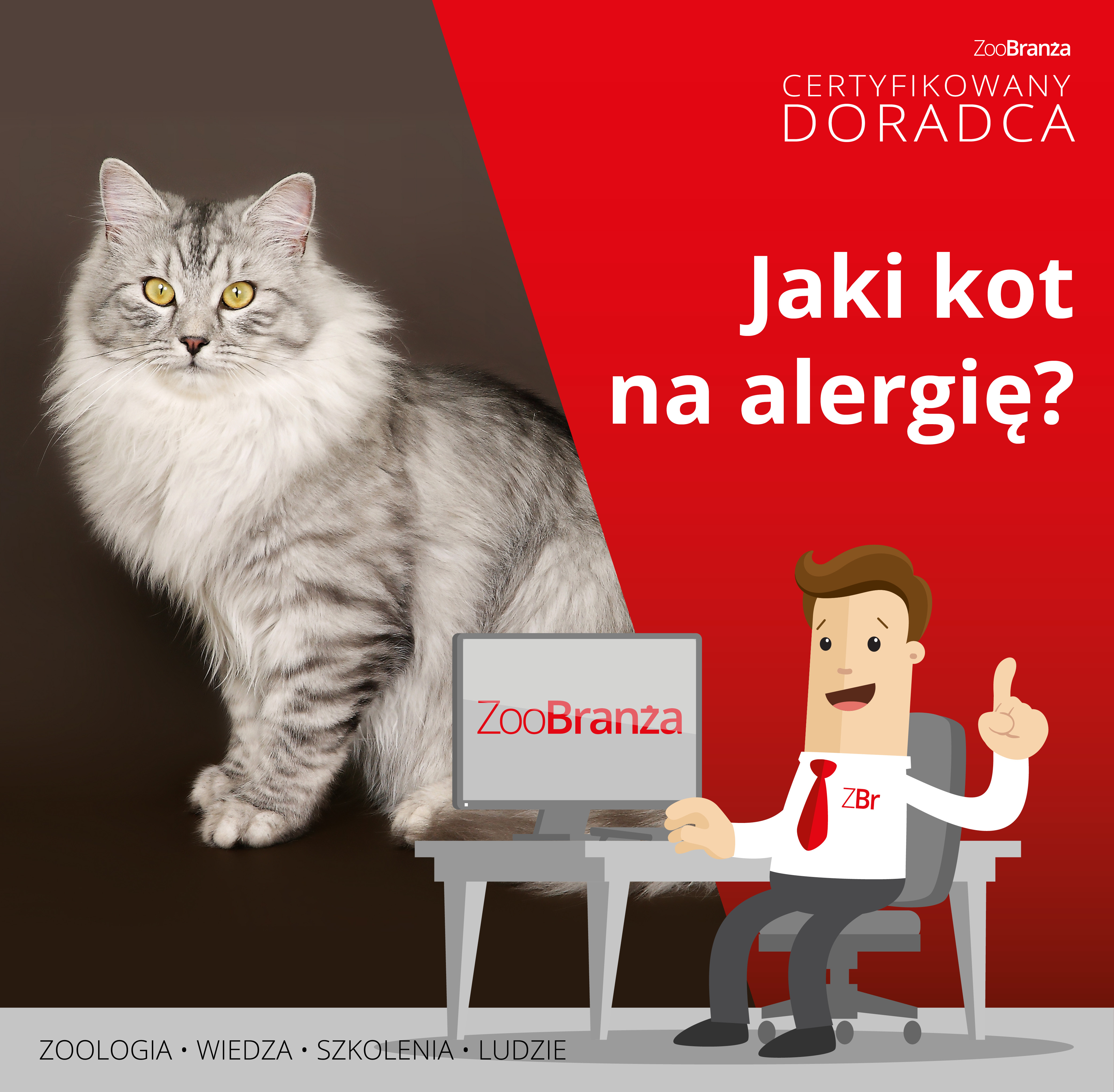 Jaki kot na alergię?