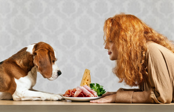 Rola tłuszczu w żywieniu psów