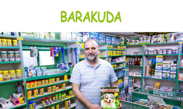 Barakuda