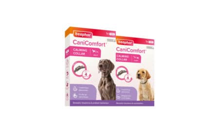 Beaphar CaniComfort® – spokój dla każdego psa!