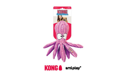 amiplay, dystrybutor firmy KONG prezentuje: KONG CuteSeas Octopus