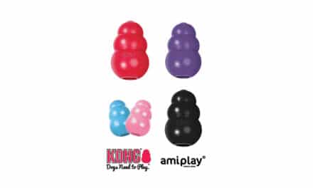 Firma amiplay, dystrybutor marki KONG, przedstawia: Kong od Puppy do Seniora