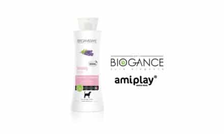 Firma amiplay, dystrybutor marki Biogance, przedstawia: Organissime szampon regenerujący lawendowy