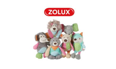 Crazy Jojo – zabawki dla psów od Zolux