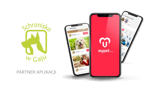 My Pet Story: REJESTRUJESZ – ZYSKUJESZ!