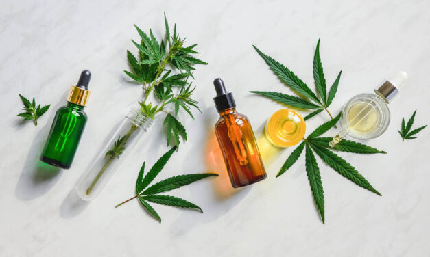 CBD, czyli kannabidiol Kiedy warto polecać go zwierzętom?