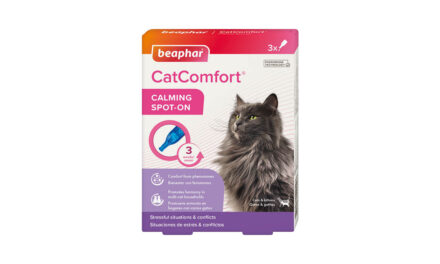 Beaphar CatComfort Calming Spot-On