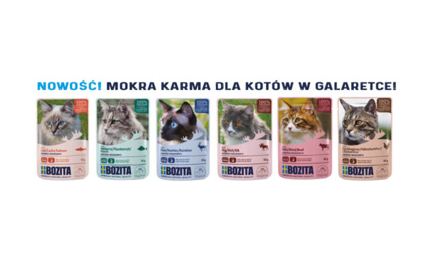 Nowość! mokra karma dla kotów w galaretce