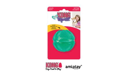 Firma amiplay, dystrybutor marki KONG, przedstawia: KONG Dental Squeezz Ball