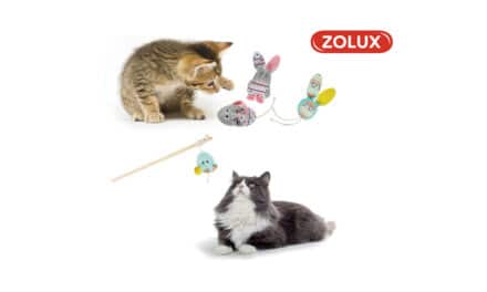 Kali – nowa kolekcja zabawek dla kotów w ofercie firmy ZOLUX