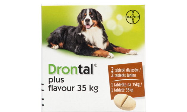 Tabletki odrobaczające Drontal PLUS FLAVOUR – dla psów 35 kg