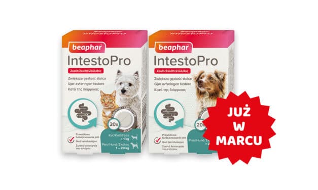IntestoPro