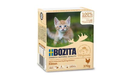 Bozita Tetra – Kitten 370 g