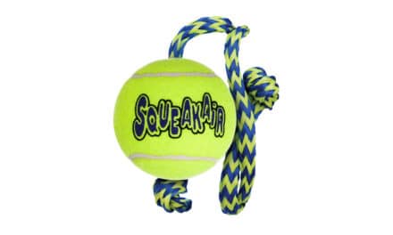 Firma amiplay, dystrybutor marki KONG, prezentuje: Squeakair Ball W/Rope