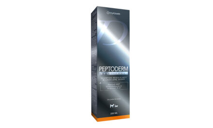 Nowość od Eurowet – szampon Peptoderm™ excellence