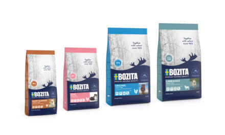 Bozita – linia suchych karm dla psów bez zawartości pszenicy