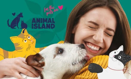 Animal Island – nowa marka na polskim rynku zoologicznym!
