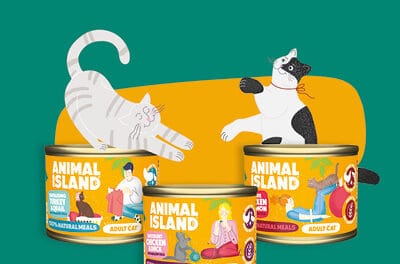 Animal Island prezentuje pyszne i aromatyczne posiłki dla dorosłych Kotów wszystkich ras
