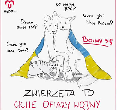 Pomóż psom i kotom z Ukrainy z aplikacją MyPetStory!