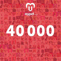 Ponad 40 000 zwierzaków w aplikacji MyPetStory!