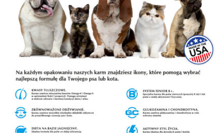 Karma Super Premium od Animal Service – Nutra-Nuggets dla psów i kotów!