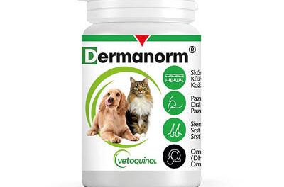 Dermanorm® od Vetoquinol – odpowiednio zbilansowane kwasy omega-3 i omega-6 na poprawę kondycji skóry i sierści