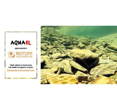 Aquael sponsorem BIOTOPE AQUARIUM Contest!