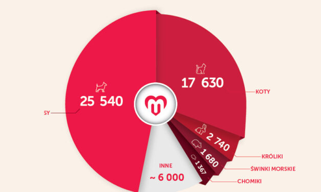 Mamy już 55 tysięcy użytkowników!