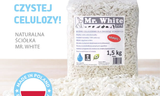 Marka „Mr. White” zaprasza do współpracy!