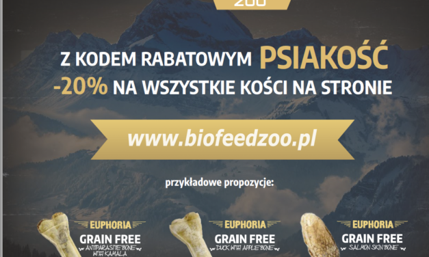 Promocje na wszystkie kości na stronie BIOFEED