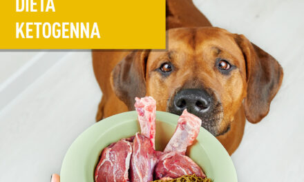 Dieta ketogenna u ludzi i zwierząt