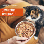 „Pan kotek był chory…”, czyli jak karmić koty przy najczęstszych problemach zdrowotnych?