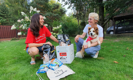 Już ponad 5 000 psów i kotów znalazło szczęśliwy dom dzięki programowi Adopciaki.pl wspieranemu przez Nestlé Purina