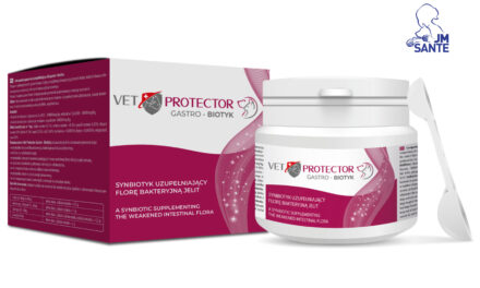 Vet Protector Gastro – Biotyk – synbiotyk dla psów i kotów