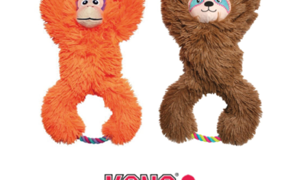KONG Tuggz Sloth i Monkey  – wielowymiarowa przyjemność zabawy