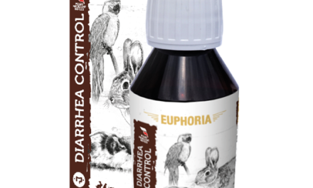 Diarrhea Control – szybka ulga w biegunce!
