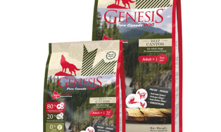Genesis Pure Canada Deep Canyon – najlepszy wybór dla dorastającego psa