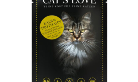 CAT’S LOVE – saszetki pełne miłości do kotów