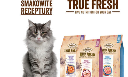 Smakowite, wysoko mięsne karmy Carnilove True Fresh teraz dostępne również dla kotów!