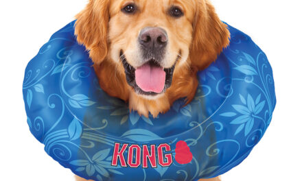 KONG E-Collar Cushion – w trosce o komfort psa