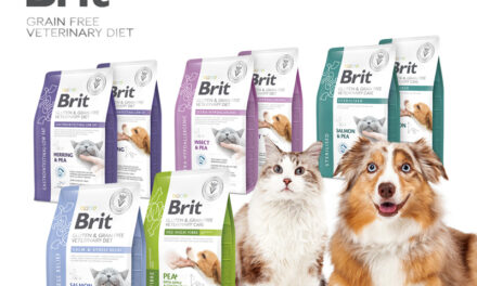Nowe karmy weterynaryjne w portfolio marki Brit Veterinary Diet