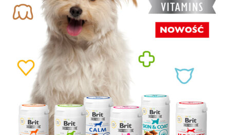 Brit Vitamins – nowość dla poszukujących wartościowego i pysznego uzupełnienia codziennej diety psa