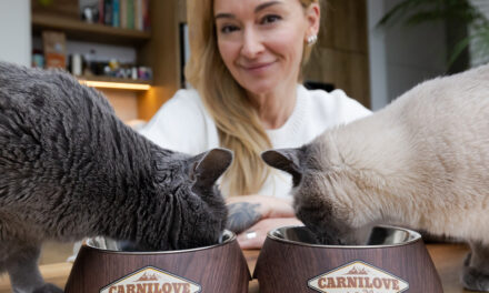 Ambasadorska współpraca roku! Martyna Wojciechowska oraz jej koty w szeregach marki Carnilove!