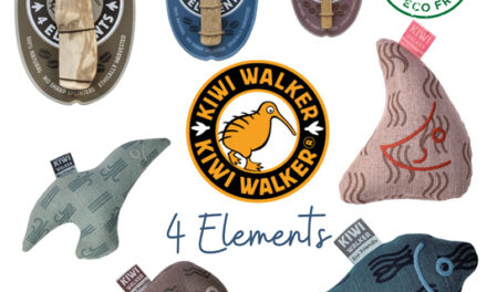 Kiwi Walker 4 ELEMENTS – ekologiczne zabawki