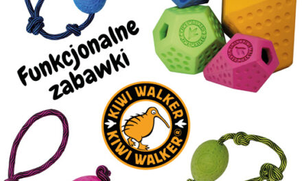 Nowe funkcjonalne zabawki od Kiwi Walker