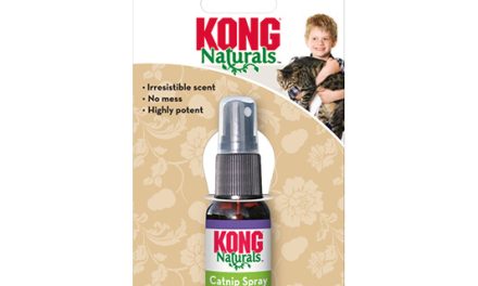 <strong>KONG Catnip Spray – Kocimiętka Spray – wygodny sposób aplikacji</strong>