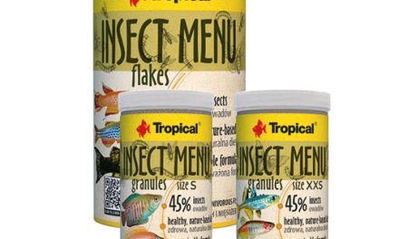 <strong>Insect menu – nowość w ofercie Tropical</strong>