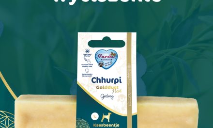 RENSKE CHHURPI Golddust – funkcjonalne gryzaki z sera himalajskiego dla psów