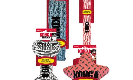 <strong>KONG Maxx (Ring, Bone, Star, Stick) – kolekcja zabawek do zadań specjalnych</strong>